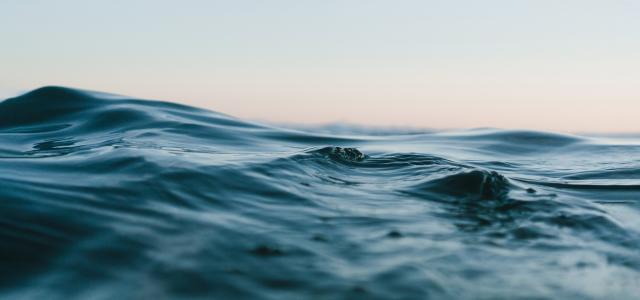 wave by matt hardy